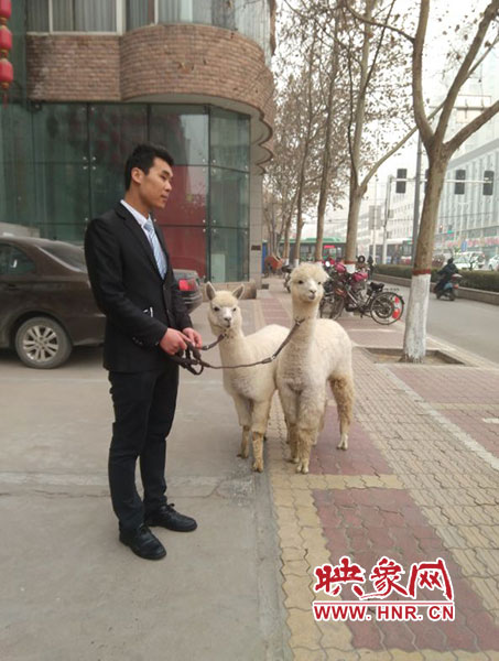 網絡神獸現(xiàn)身中原路 網絡神獸現(xiàn)身中原路