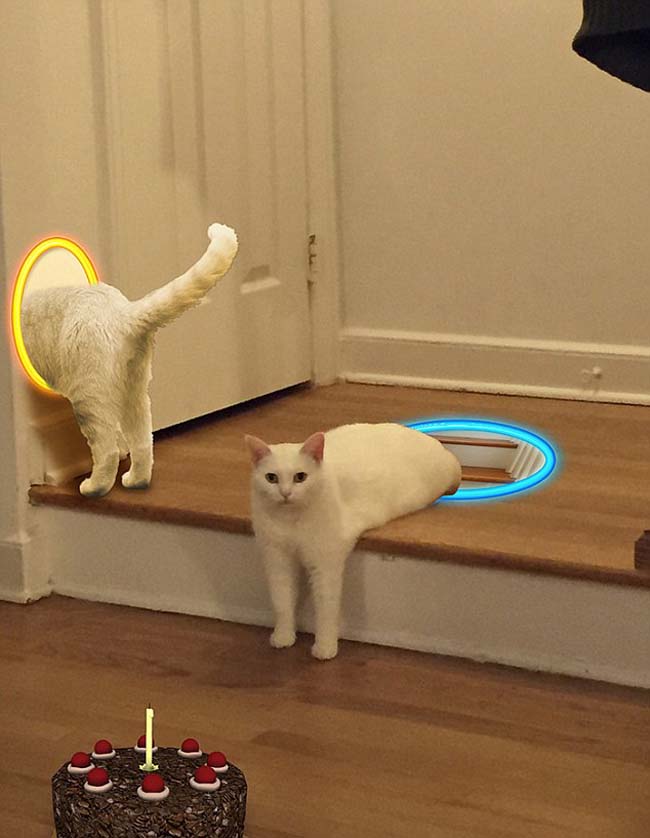 喵星人奇葩坐姿遭惡搞 網(wǎng)友腦洞大開 喵星人奇葩坐姿遭惡搞 網(wǎng)友腦洞大開