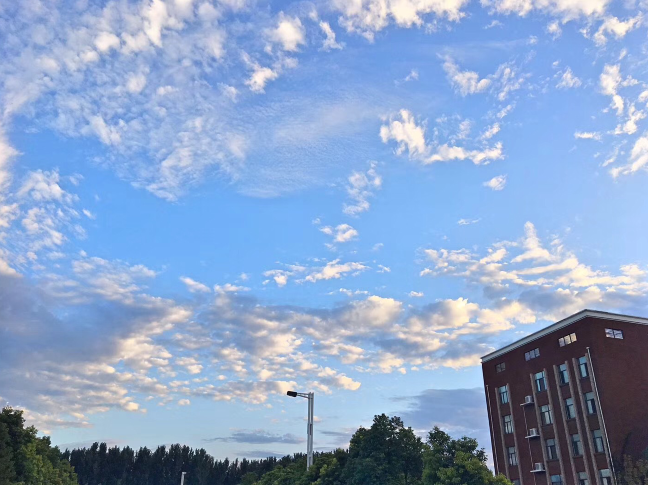 又被鄭州的藍(lán)天刷屏！隨便一拍就是手機(jī)壁紙