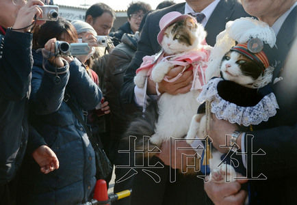 圖為粉絲們簇?fù)碇鞍⒂瘛闭鹃L（右）。左側(cè)為其部下“二玉”。