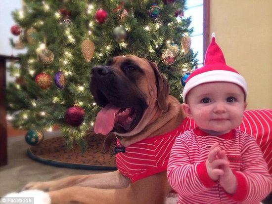 圖為美國2歲大的寵物犬與主人9個(gè)月大的女嬰。圖片來源：臉譜網(wǎng)站（Facebook）。