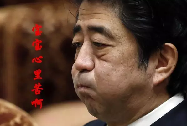 這種看安倍“熱鬧”的事兒，環(huán)環(huán)絕不私藏，一定雨露均沾!