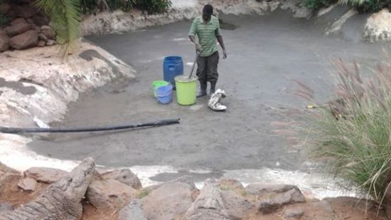 穆克的養(yǎng)殖場，鱷視眈眈下的工作人員。