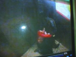 侯某被摁倒割喉。