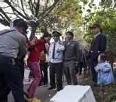 圖片來自網絡 圖片來自網絡