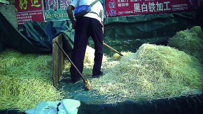 一名工人正在“京YCM988”上用叉子將批發(fā)的豆芽裝袋 一名工人正在“京YCM988”上用叉子將批發(fā)的豆芽裝袋