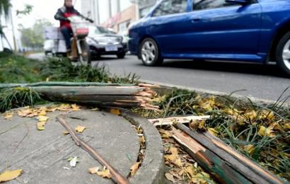 事發(fā)現(xiàn)場，嫌疑車輛撞壞的木樁。