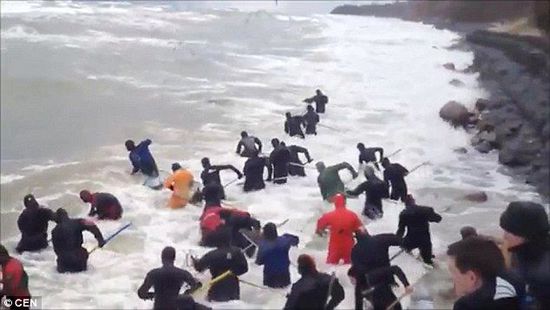 一場(chǎng)暴雨后，俄羅斯加里寧格勒Pionersky鎮(zhèn)，數(shù)十人潛入海水中搜尋琥珀。