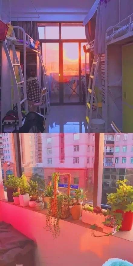 這個(gè)學(xué)校的男生宿舍火了！女同學(xué)都喊著要嫁