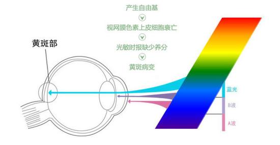 真能亮瞎眼？如何減少手機(jī)對眼睛的傷害