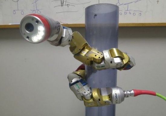 美高校研制新型機(jī)器蛇 可潛伏在樹(shù)上執(zhí)行偵察任務(wù)