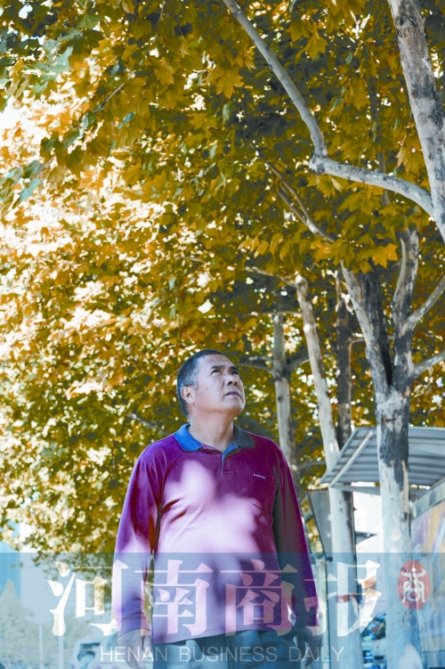 郭長安巡視自己栽下并管理十年的法桐樹 郭長安巡視自己栽下并管理十年的法桐樹