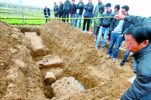 碑帽、赑屃、碑座、碑身依次排開(kāi)