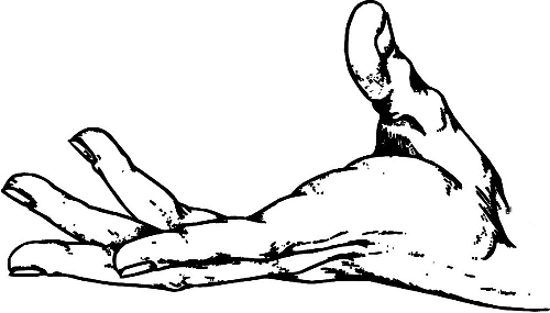 　時(shí)間：拿到通知書，未報(bào)到就可申請(qǐng)