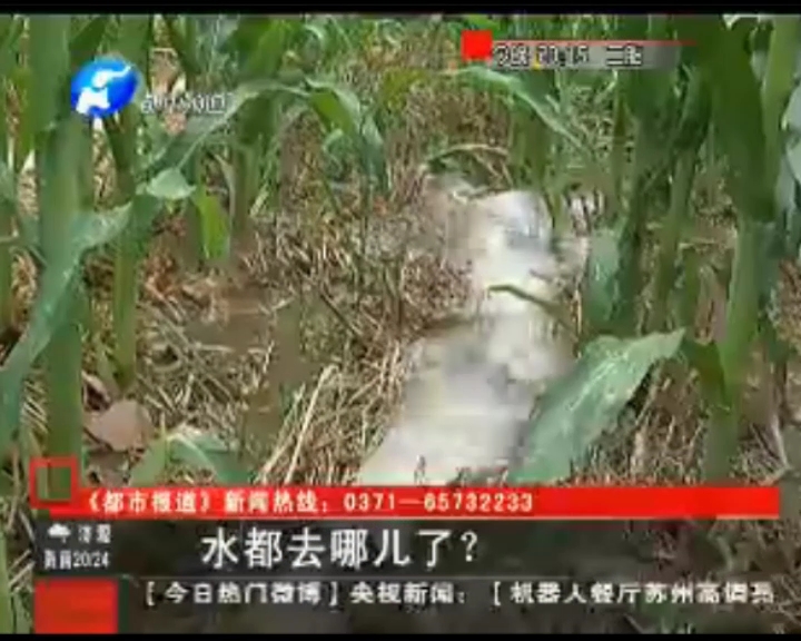 水都去哪了？