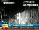 遠(yuǎn)紅外相機記錄東北虎吃牛