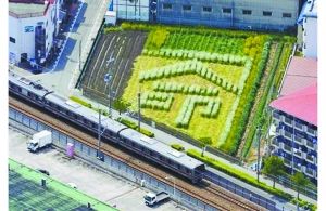 日本2005年列車事故現(xiàn)場(chǎng)附近的一塊農(nóng)田里勾勒出一個(gè)“命”字，以警世人。
