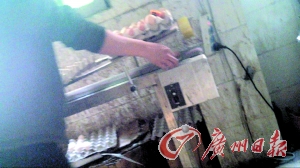 工作人員正在為“土雞蛋”噴日期碼。