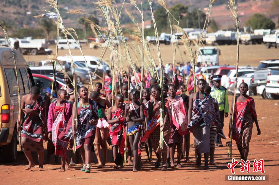 斯威士蘭蘆葦節(jié)開選秀女 十萬“甄嬛”苦盼國王垂青 斯威士蘭蘆葦節(jié)開選秀女 十萬“甄嬛”苦盼國王垂青