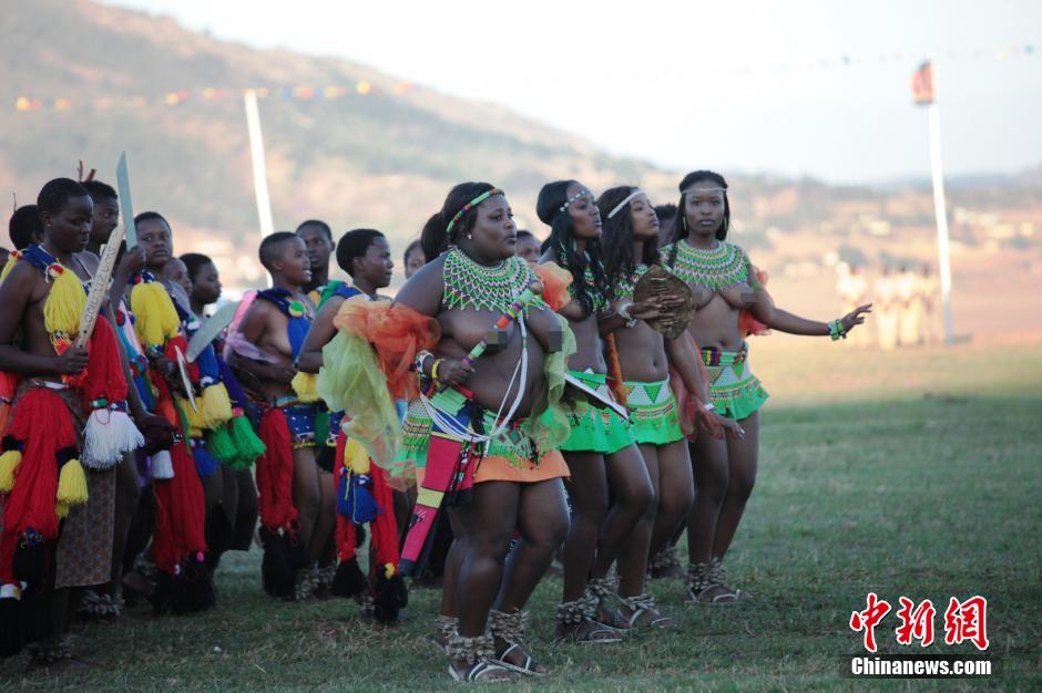 斯威士蘭蘆葦節(jié)開選秀女 十萬“甄嬛”苦盼國王垂青 斯威士蘭蘆葦節(jié)開選秀女 十萬“甄嬛”苦盼國王垂青