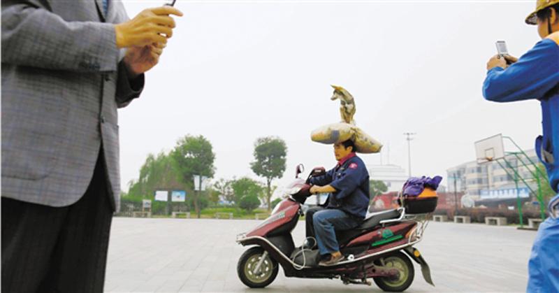 浙江"頂狗哥"走紅網絡 浙江"頂狗哥"走紅網絡