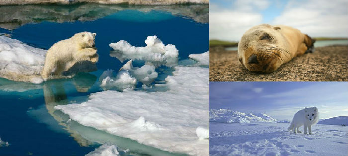 超唯美2014年旅行風景日歷 超唯美2014年旅行風景日歷